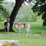 Lafarques 4* Pepinster