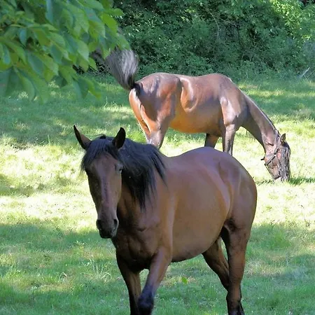 Lafarques Hotel Pepinster