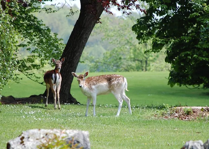 Lafarques 4* Pepinster